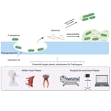 Superbug can digest medical plastic, making it even more dangerous