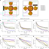 How ubiquitous small particles turn harmful inside plants