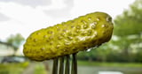 Critical Bugs Put Hugging Face AI Platform in a 'Pickle'
