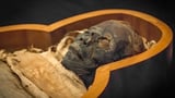 Black Death DNA Found In 3,300-Year-Old Egyptian Mummy