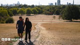 UK weather: Burnham to chair Cobra meeting on extreme heat as temperatures surge again