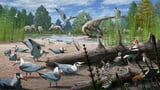 Birds nested alongside dinosaurs in the Arctic: Fossil find pushes polar nesting record back by 25 million years