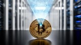 BitGo CEO Challenges AI's Claude to Hack 100 BTC Wallet: "If You Can Take It, It's Yours"