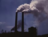 Scientists seek to reverse neurodegeneration by eliminating harmful RNA pollution