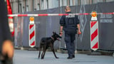 Two suspects face judge over arson attack near Munich defence firms