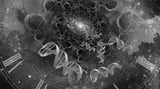 Researchers Find Age-Modulatory Perturbations at Scale