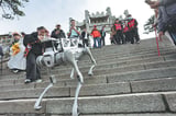 China's scenic peaks welcome a new robotic workforce