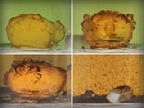 Scientists find effective way to dissolve a recycling-resistant plastic