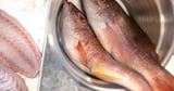 Extended red snapper recreation fishing season in SC halted by court order after lawsuit filing