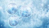 Researchers Unravel Long-Standing Mystery of Collagen’s Instability