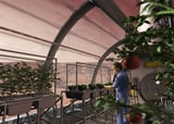 Mars Fungi Could Make Red Planet Regolith Fertile for Crops