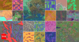 Google DeepMind launches AI model that works like ‘virtual satellite’