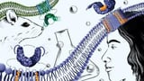 Researchers reveal key differences in STING inhibition between humans and mice