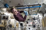 Human-Related Microbes May Survive Moon’s South Pole, NASA Finds - NASA Science