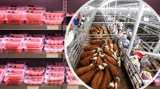 Supermarkets must help farmers keep food moving as fuel costs bite