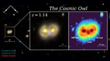 Whooo's there? James Webb telescope spots 'Cosmic Owl,' super-rare structure formed from colliding ring…