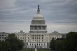 The US Primaries: What they reveal about November
