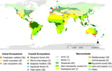 Global teabag study shows warming temperatures may shrink wetland carbon sinks