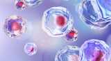 Keeping Stem Cells Healthy and Young