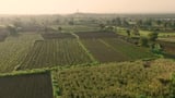 Scaling Agri Resilience: From India to the World