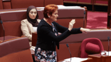 Pauline Hanson censured in Senate despite Coalition opposing motion