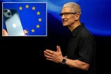 Apple facing first EU fine under landmark law aimed at reining in Big Tech: sources