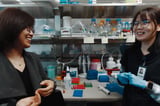 Longevity May Be Passed From Parents to Children Through the Epigenome | HHMI