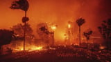 As Los Angeles burns, Hollywood's Oscar season turns into a pledge drive