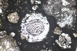 Molten rock raindrops help trace the history of Jupiter's formation