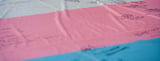 Block on Trump Transgender Military Ban Narrowed by DC Circuit