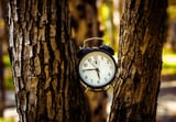 Study suggests most Americans would be healthier with 'permanent standard time'