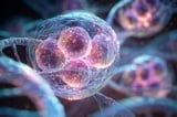 Reshaping Nuclear Speckles Could Halt Alzheimer’s