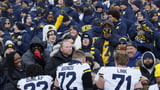 Ohio politician proposes make flag planting a felony after fight in Michigan rivalry game