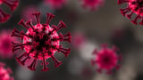 Chromatin Regulator ANKRD11 Emerges as Switch That Reinvigorates Exhausted