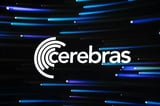 Cerebras Systems rebounds as Freedom Capital calls selloff overdone