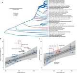 The evolution of menopause in toothed whales