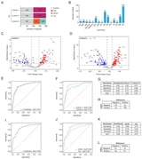 Discovery of Plasma Lipids as Potential Biomarkers Distinguishing Breast Cancer Patients from Healthy Controls