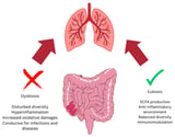 The Influence of the Gut Microbiota on Host Health: A Focus on the Gut–Lung Axis and Therapeutic Approaches