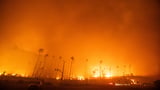 29-year-old man arrested in connection with Palisades Fire that ravaged Los Angeles