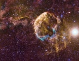 Scientists spot evidence of two huge companion stars that blew up