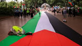 Australia backs Gaza ceasefire, supports Palestine aid