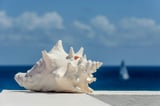 Ancient practice of blowing through a conch shell could help treat dangerous snoring condition