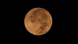 Forget lunar metropolises: Water limits could cap moon's population, scientists say