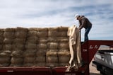No one knows whether Trump’s $50B for rural health will be enough - NewsBreak