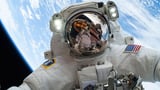 Six months in space is not that bad for your brain