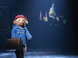 Paddington Packs His Suitcase for Broadway! Musical About Beloved Bear Sets Stateside Debut