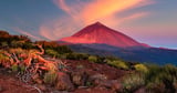 Tenerife volcano alert as tourists issued 'potentially scary' warning