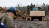 US plans to hike existing duties on Canadian lumber to by more than double – even before planned tariffs hit | CNN Business
