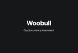 Willy Woo: Bitcoin Is 'Perfect Asset,' But Needs More Flows – Bitbo