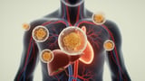Where mRNA Vaccines Really Go: New Review Maps the Journey of Lipid